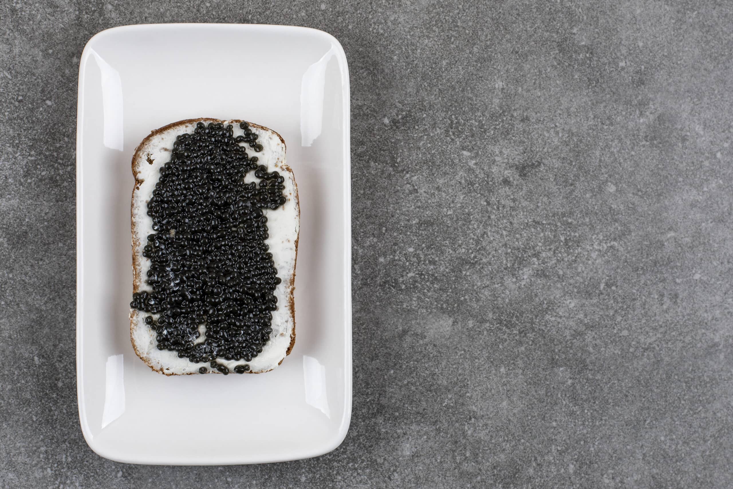 Delicious sandwich with black caviar on white plate over grey background